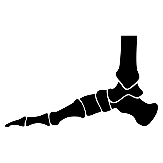 Human foot bone vector design for creative projects