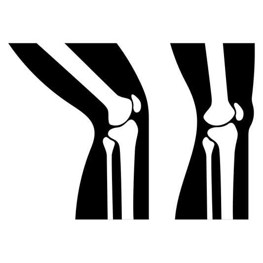 Explore human knee joint anatomy with detailed vector art
