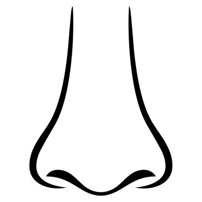 Create stunning crafts with a vector design of a human nose