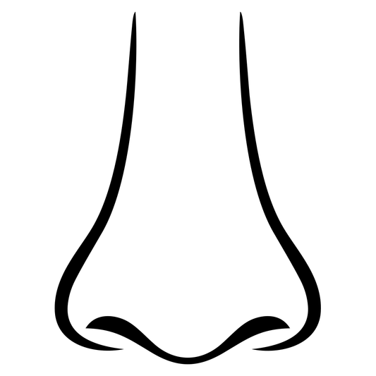 Create stunning crafts with a vector design of a human nose