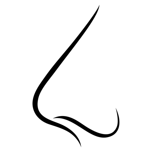 Elegant human nose profile vector for cutting machine design
