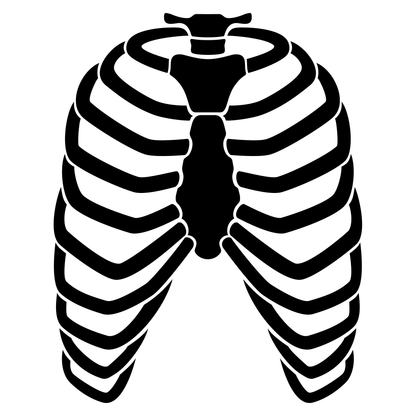 Intricate vector design of human ribs for crafting applications