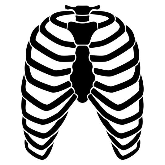 Intricate vector design of human ribs for crafting applications