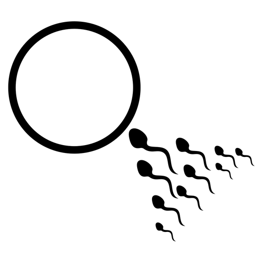 Human sperm meets egg cell in creative vector art design