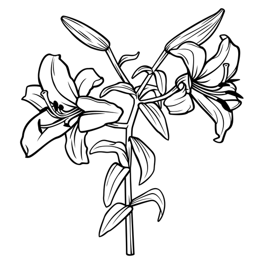 Elegant black and white lily design for crafting projects