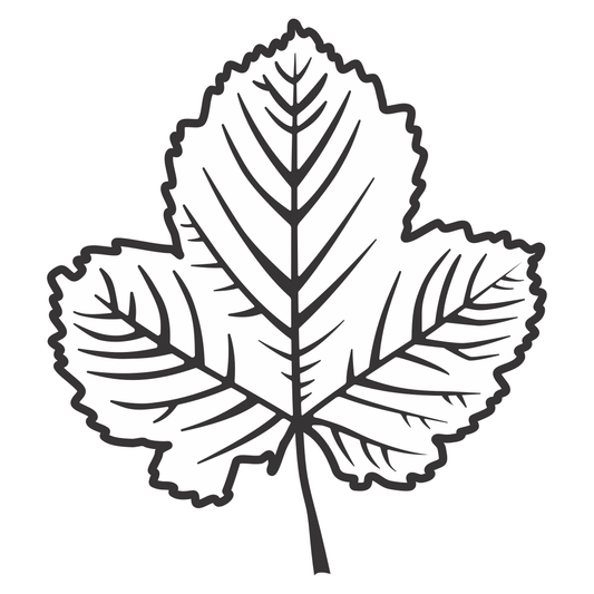 Intricate leaf design for creative vector cutting projects