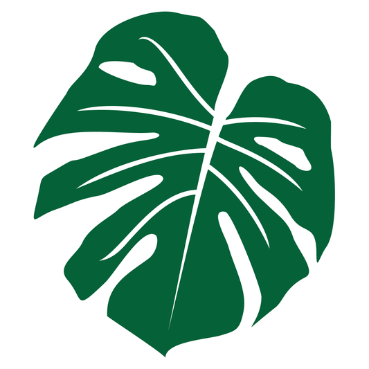 Tropical monstera leaf design perfect for cut files