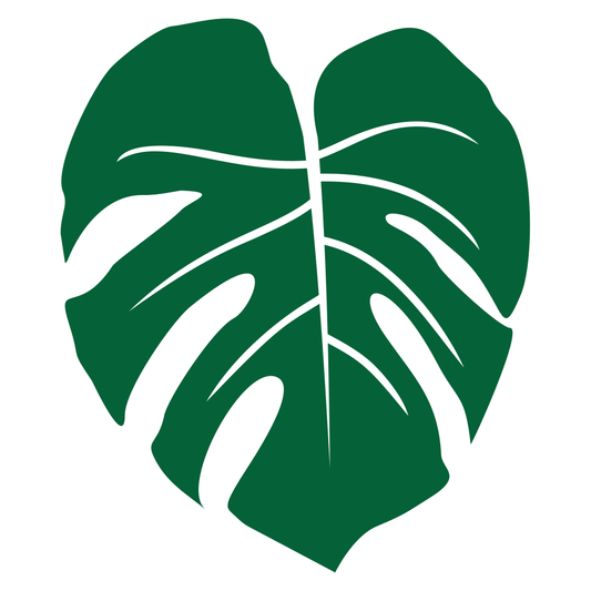 Elegant heart-shaped monstera leaf design for creative projects