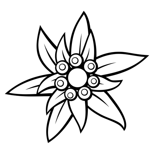 Unique mountain edelweiss flower vector for craft projects