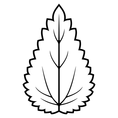 Nettle leaf design for crafting and cutting machines