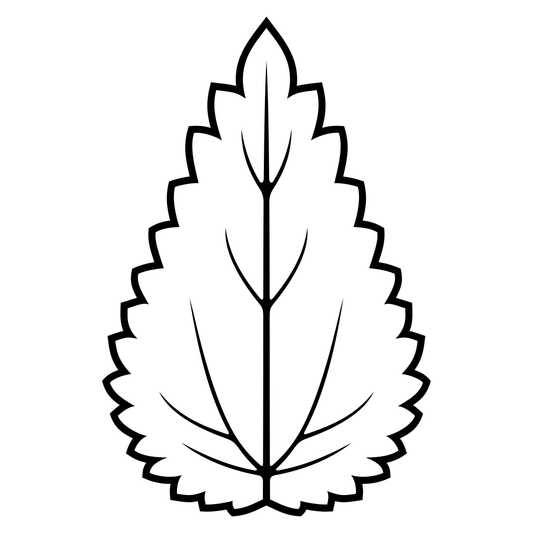 Nettle leaf design for crafting and cutting machines
