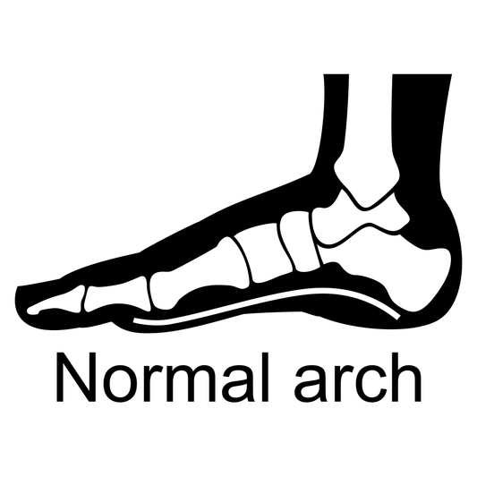 Foot anatomy design for crafting projects featuring normal arch
