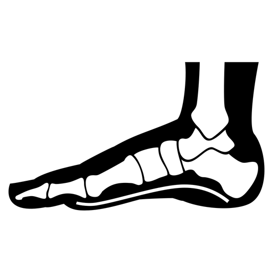 Vector illustration of a human foot skeleton for crafting
