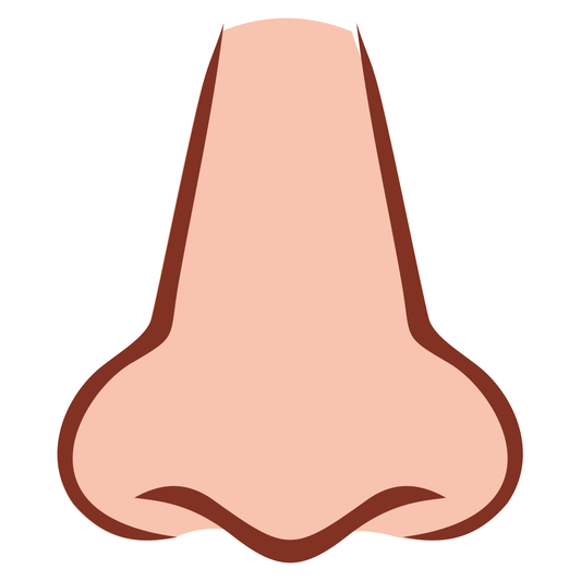 Unique vector svg design of a simple cartoon nose for crafting