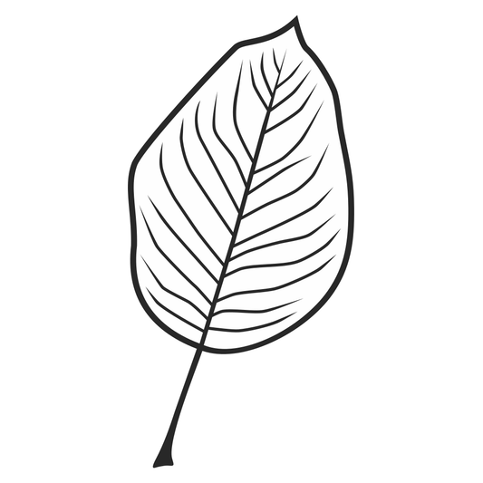Elegant leaf vector design for creative cutting projects