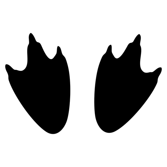 Charming penguin feet vector design for creative crafts