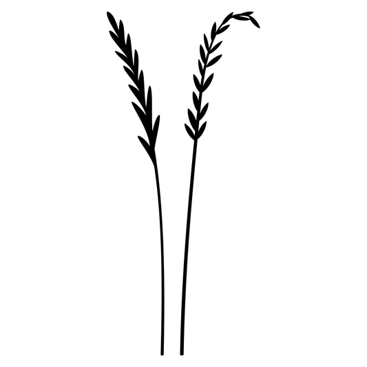 Creative vector design of delicate grass blades for crafting