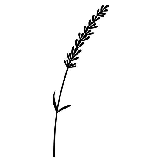 Design stunning vector foliage for cutting machines