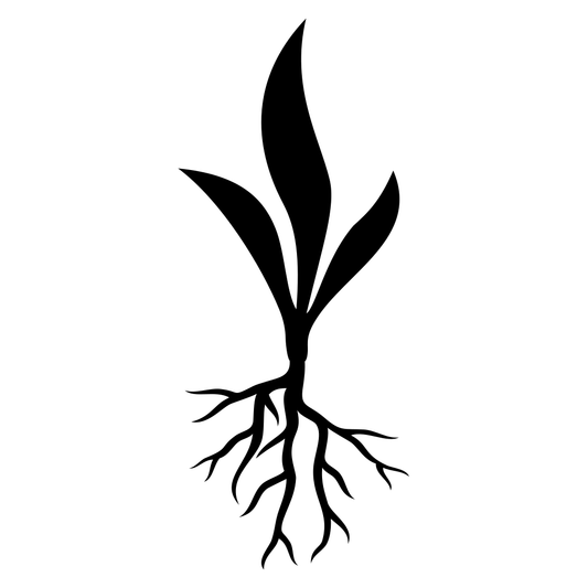 Elegant botanical design of plant with detailed roots for crafts