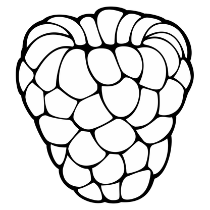 Delightful black and white raspberry vector design for crafting