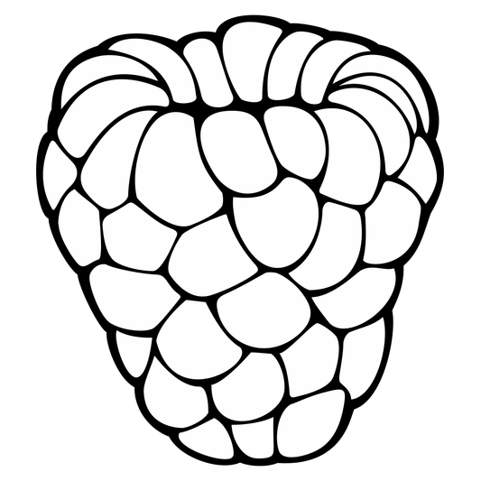 Delightful black and white raspberry vector design for crafting