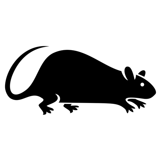 Stylish black rat vector silhouette for creative projects