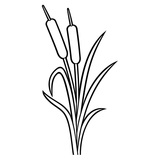 Elegant vector design of cattails for crafting projects