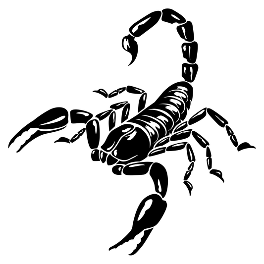 Intricate black and white scorpion design for cutting machines