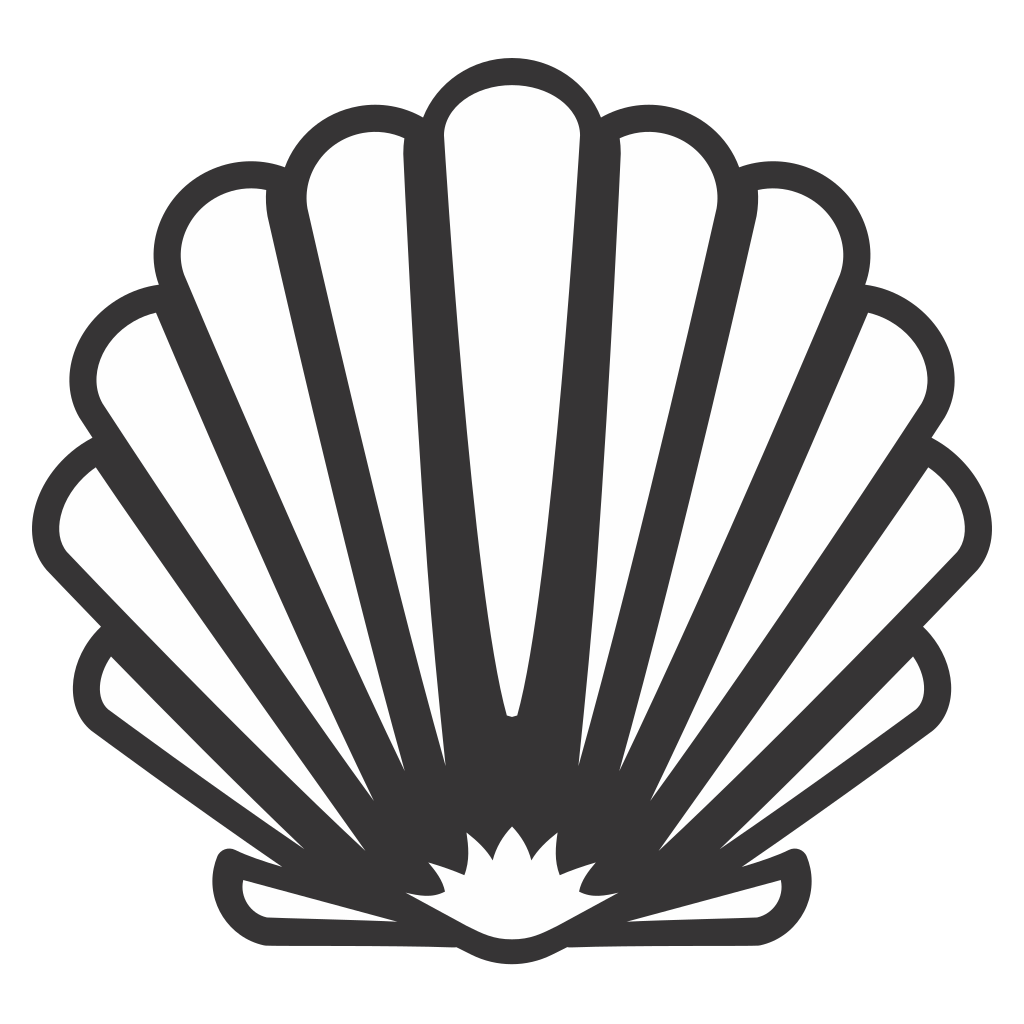 Elegant shell design for crafting and decoration projects