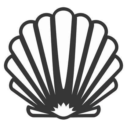 Elegant shell design for crafting and decoration projects