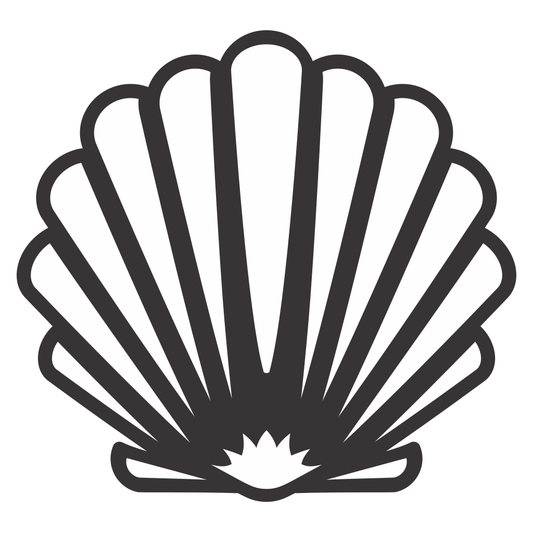 Elegant shell design for crafting and decoration projects