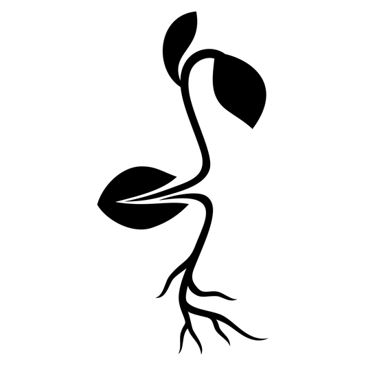 Creative plant design for crafting enthusiasts and hobbyists