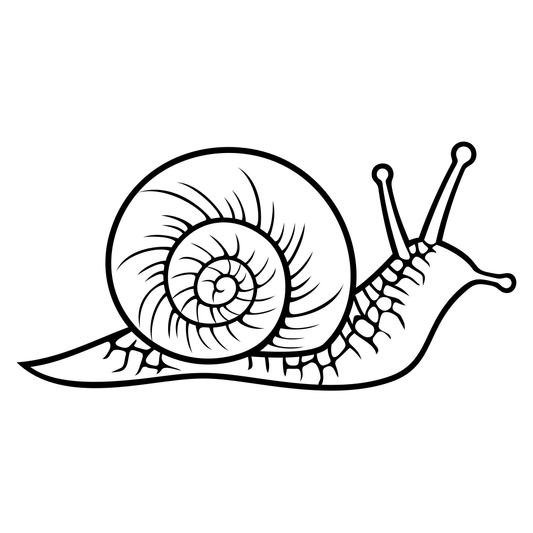 SVG design of a black and white snail for crafting