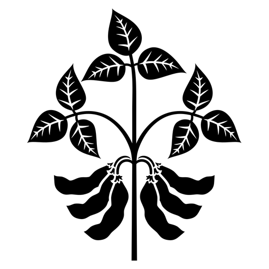 Elegant soybean plant vector design for crafting projects