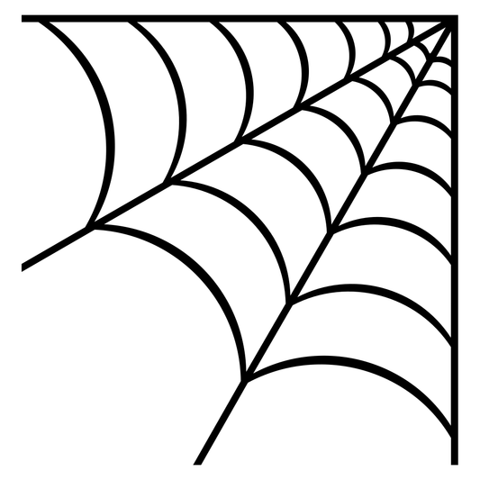 Elegant spider web vector design for crafting projects