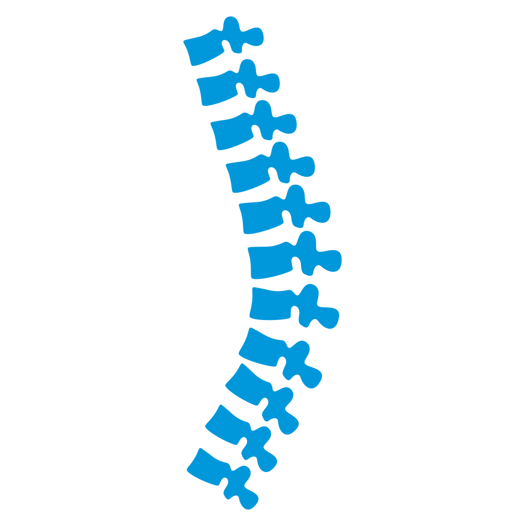 Unique spine design in vibrant blue for cutting machines