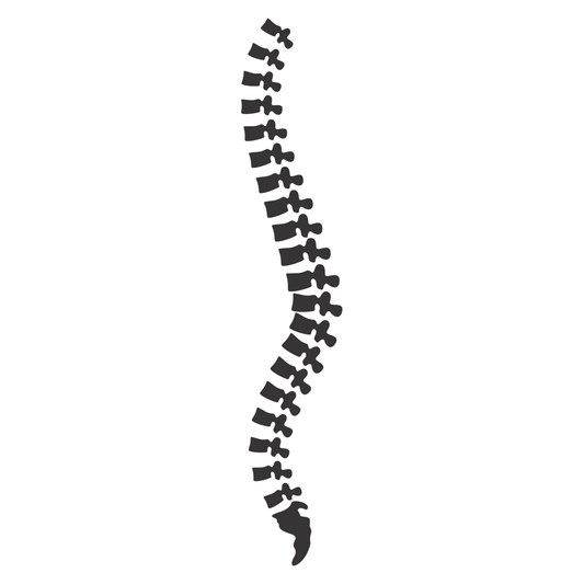 Creative spine design for cutting machines in vector format