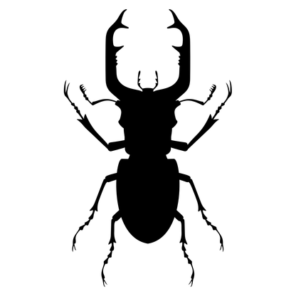 Intricate vector design for a striking insect silhouette