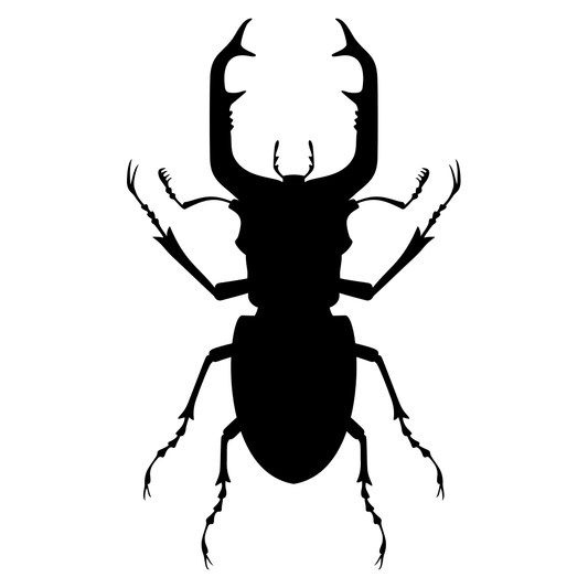 Intricate vector design for a striking insect silhouette