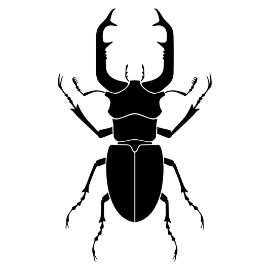 Intricate black vector design of a majestic beetle for crafting