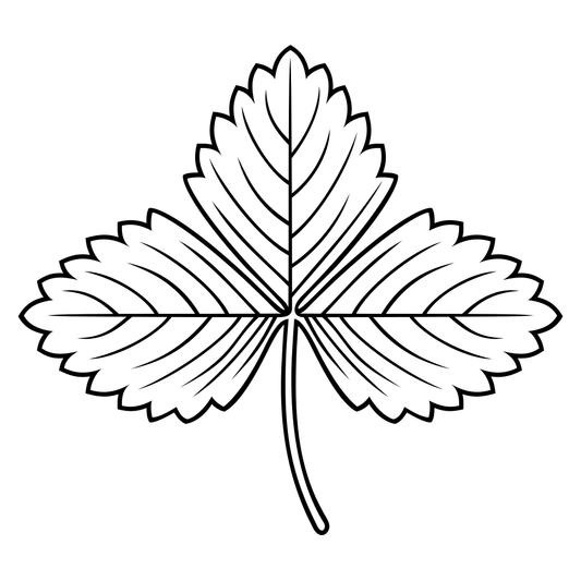 Elegant strawberry leaf outline for creative cutting projects