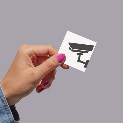 Surveillance camera design for crafting and home decor