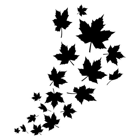Swirling maple leaves in a graceful autumn dance