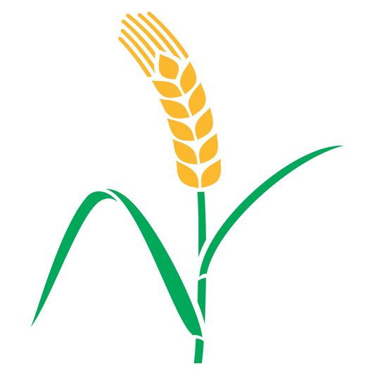 Creative vector design of wheat in a stylish color palette