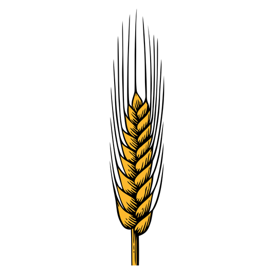 Wheat ear vector design for crafting and decor projects